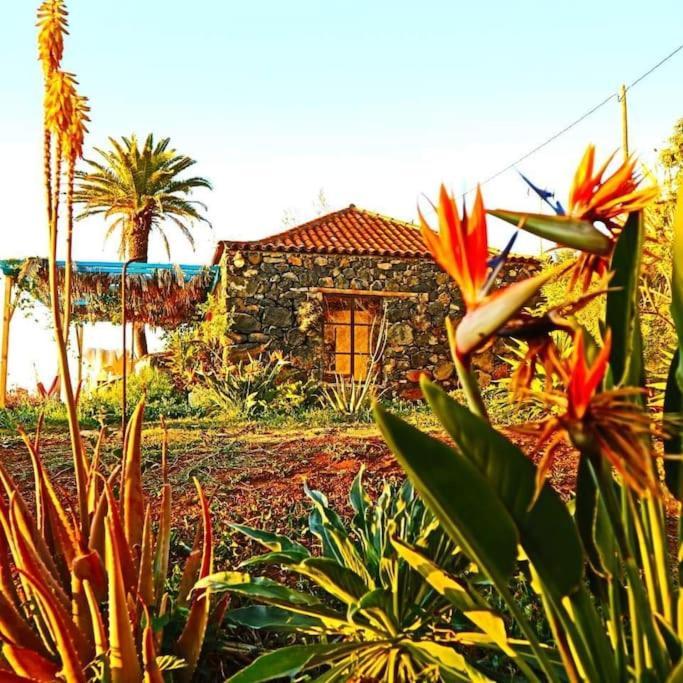 蒂哈拉费Casita En El Campo Con Vista Al Oceano别墅 外观 照片