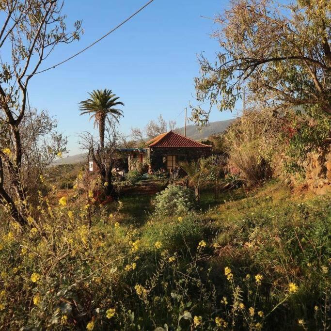蒂哈拉费Casita En El Campo Con Vista Al Oceano别墅 外观 照片