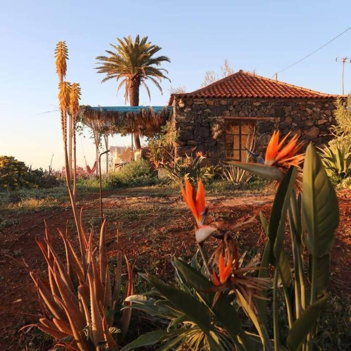 蒂哈拉费Casita En El Campo Con Vista Al Oceano别墅 外观 照片