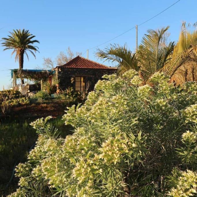 蒂哈拉费Casita En El Campo Con Vista Al Oceano别墅 外观 照片