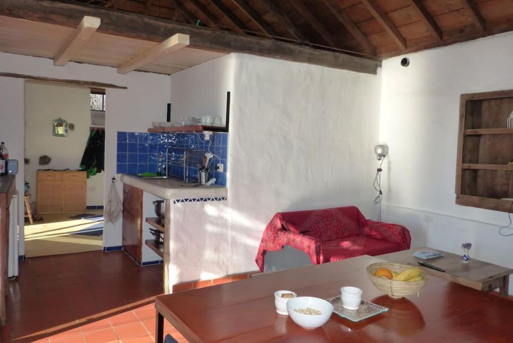 蒂哈拉费Casita En El Campo Con Vista Al Oceano别墅 外观 照片
