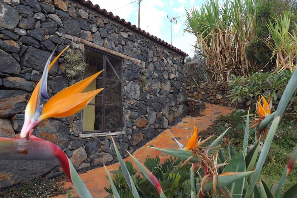 蒂哈拉费Casita En El Campo Con Vista Al Oceano别墅 外观 照片