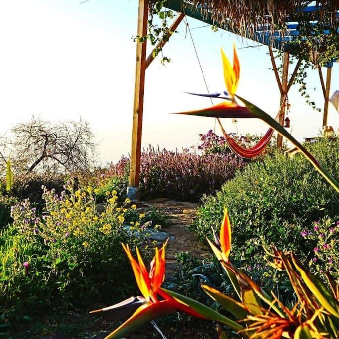 蒂哈拉费Casita En El Campo Con Vista Al Oceano别墅 外观 照片