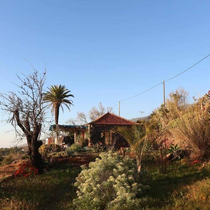 蒂哈拉费Casita En El Campo Con Vista Al Oceano别墅 外观 照片