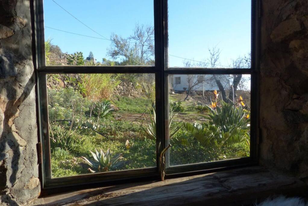 蒂哈拉费Casita En El Campo Con Vista Al Oceano别墅 外观 照片